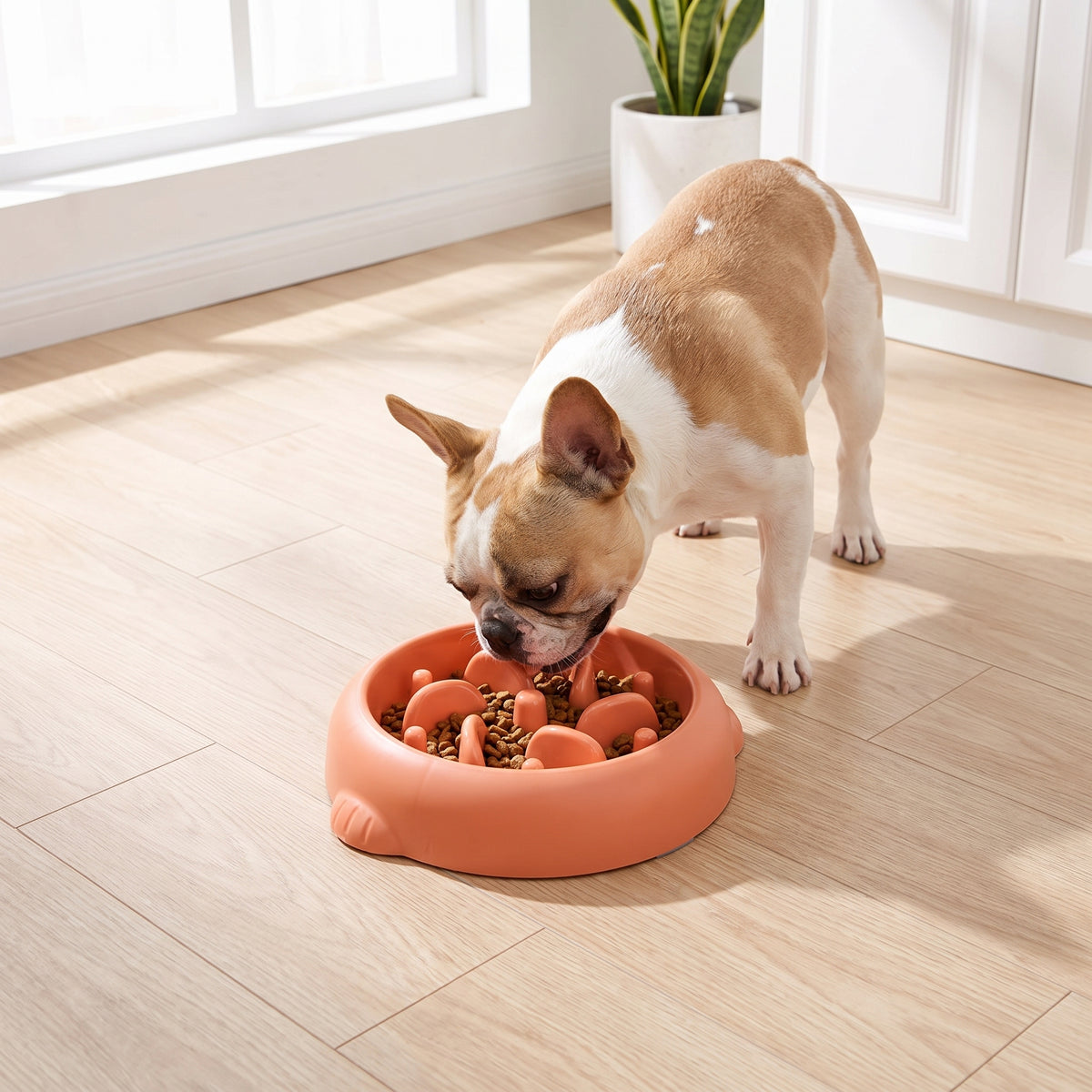Slow Feeder Bowl