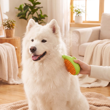 3 In 1 Grooming Brush